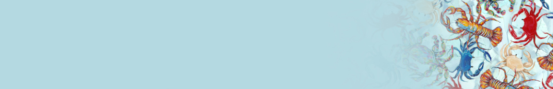 header-seasidesummer.jpg