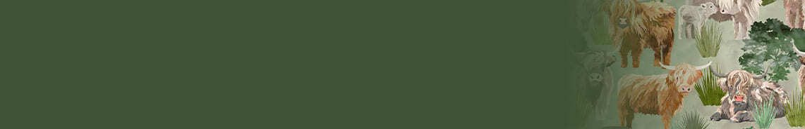 highlander-header.jpg