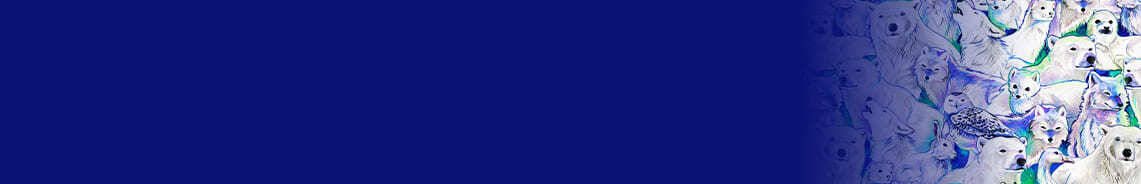 tales-of-the-tundra-header.jpg