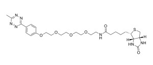 Biotin-PEG4-Methyltetrazine - 25 mg Biotin-PEG4-Methyltetrazine - 25 mg