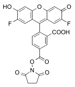 Difluorocarboxyfluorescein NHS Ester, 5-isomer - 5 mg Difluorocarboxyfluorescein NHS Ester, 5-isomer - 5 mg