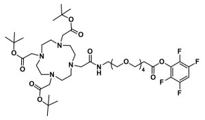 DOTA-tris(TBE)-amido-dPEG®₄-TFP ester - 500 mg DOTA-tris(TBE)-amido-dPEG®₄-TFP ester - 500 mg