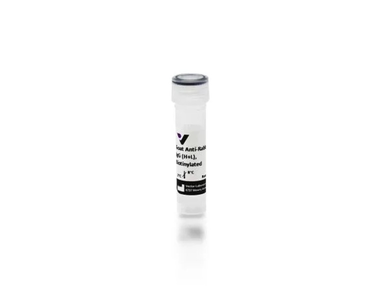Anti-Rabbit IgG (H+L), made in goat, Biotinylated, 1.5mg