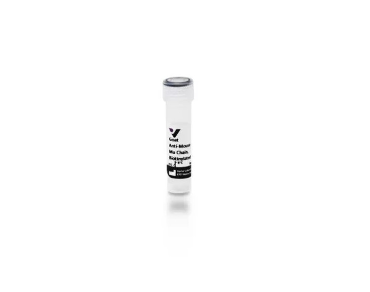 Anti-Mouse IgM, mu chain specific, made in goat, Biotinylated