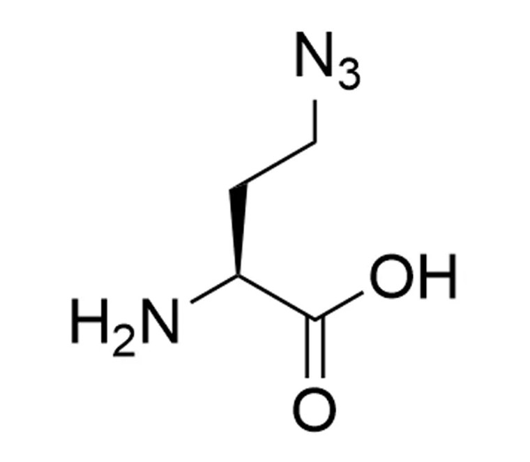 L-Azidohomoalanine (AHA), 5 g