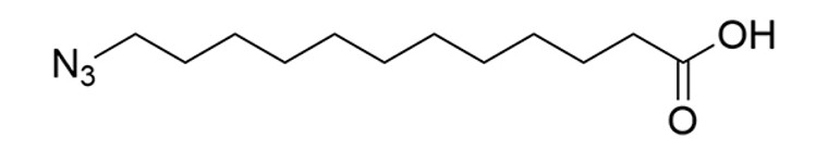 Azido Myristic Acid - 25 mg