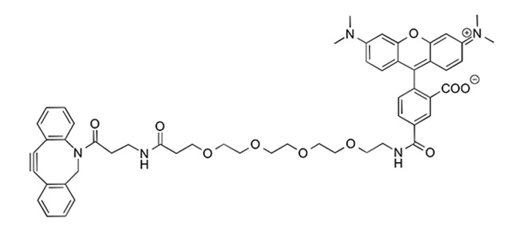 TAMRA DBCO - 25 mg