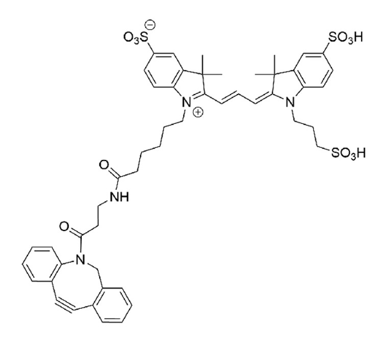 Cy3 DBCO - 25 mg