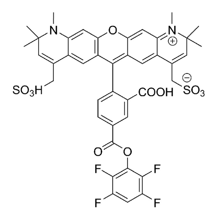 AZDye 594 TFP Ester - 100 mg