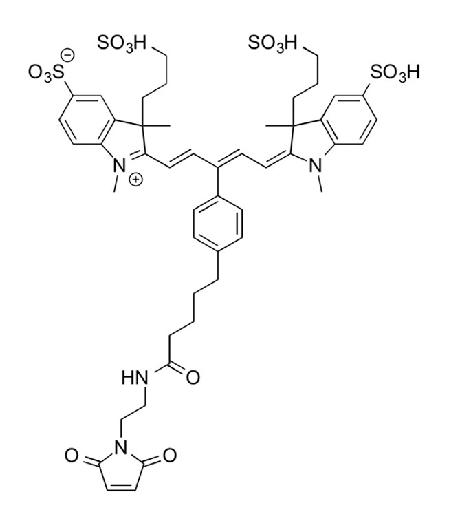 IR 650 Maleimide - 1 mg