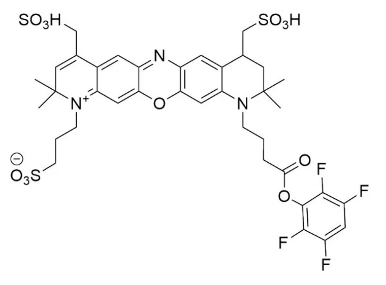MB 680R TFP Ester - 100 mg
