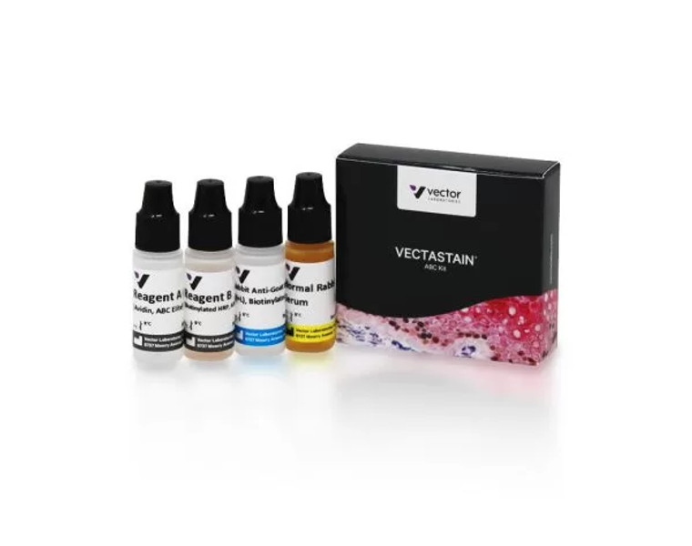 VECTASTAIN Elite ABC-Peroxidase Kit, Goat IgG