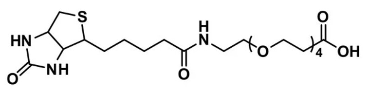 dPEG®₄-biotin acid - 100 mg