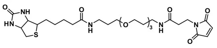 Biotin-dPEG®₃-MAL - 50 mg