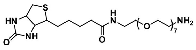 Biotin-dPEG®₇-NH₂ - 1000 mg