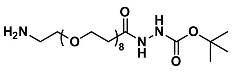 Amino-dPEG®₈-t-boc-hydrazide - 100 mg