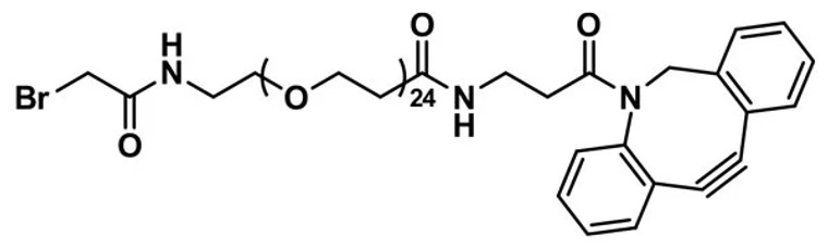 Bromoacetamido-dPEG®₂₄-amido-DBCO - 25 mg