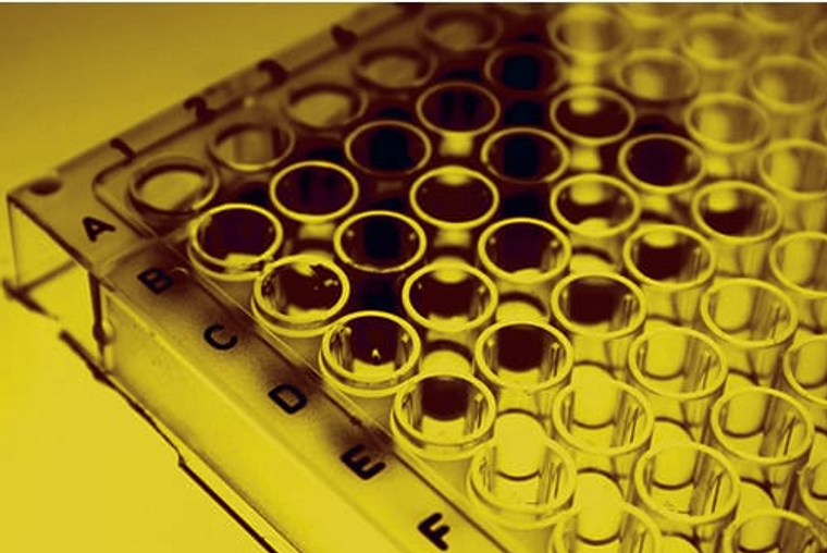 ***Immunotag™ Rat C-X-C motif chemokine 10 ELISA Kit, 96-Well Plate, Ship with an Ice Pack