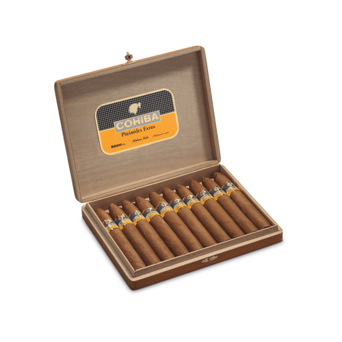 Cohiba Piramides Extra Zigarren in der 10er KIste, offen Cohiba Piramides Extra Zigarren in der 10er KIste, offen