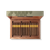 Z-Collection Green Humidor Z80