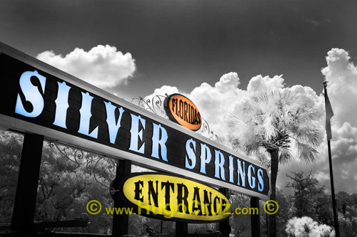 Silver Springs