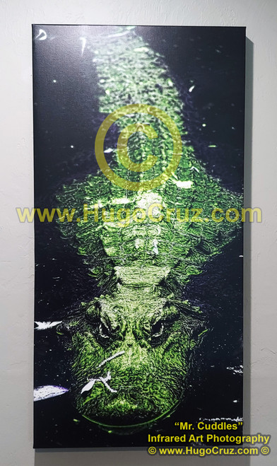 Mr Cuddles - on Giclee Canvas