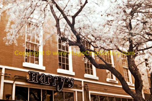 Harry's