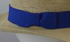Royal Blue Trim