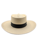 Georgina Wide Brim Planter