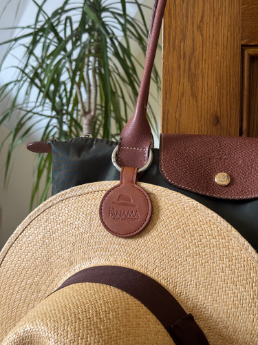Magnetic hat clip