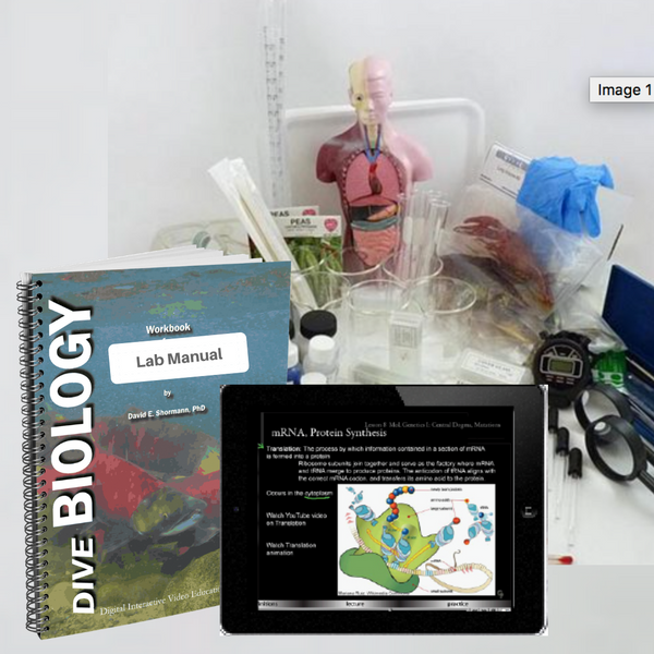 Everything you need for a successful year of Biology! A printable PDF of the lab workbook is included in the eLearning course. A hard copy in full color and spiral bound with free 2-3 day shipping is also available. 