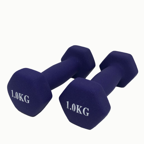 Workout Dumbbell Set - Buyrouth