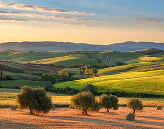 Tuscany landscape hills mobile image