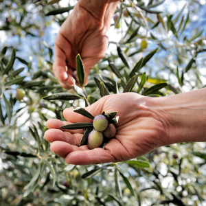 our-story-2.jpg our-story-2.jpg