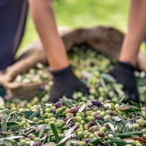 our-story-3.jpg our-story-3.jpg