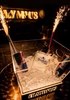 BOTTLE SERVICE ICE BUCKETS
