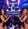 BOTTLE PRESENTER CAKES - LED CAKES