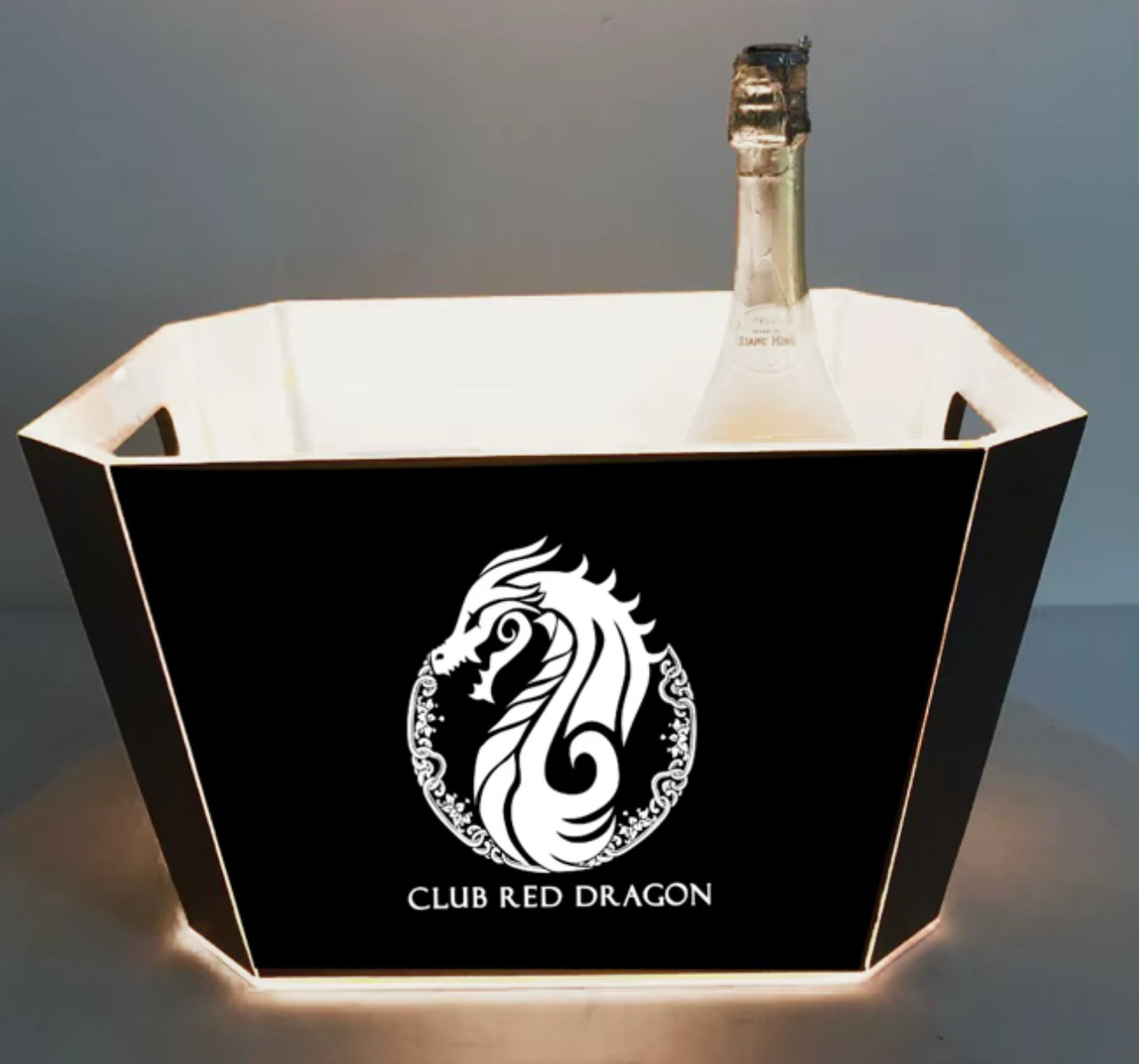 CUSTOM ICE BUCKETS