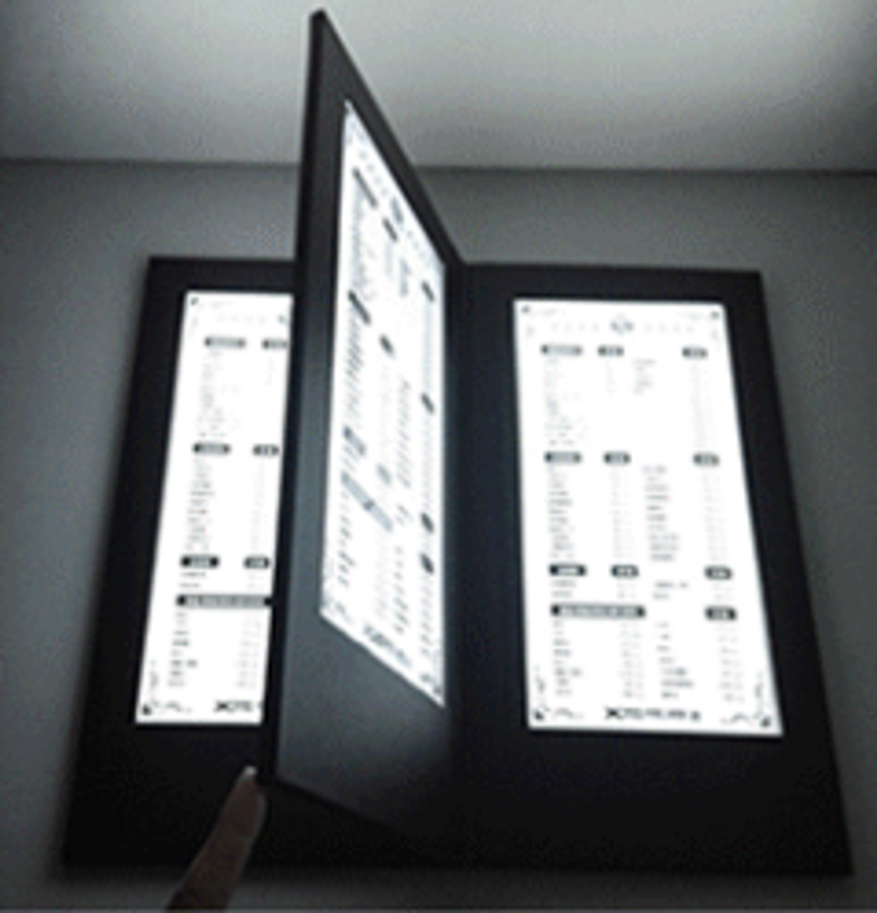 LIGHT UP MENUS - 4 PANELS