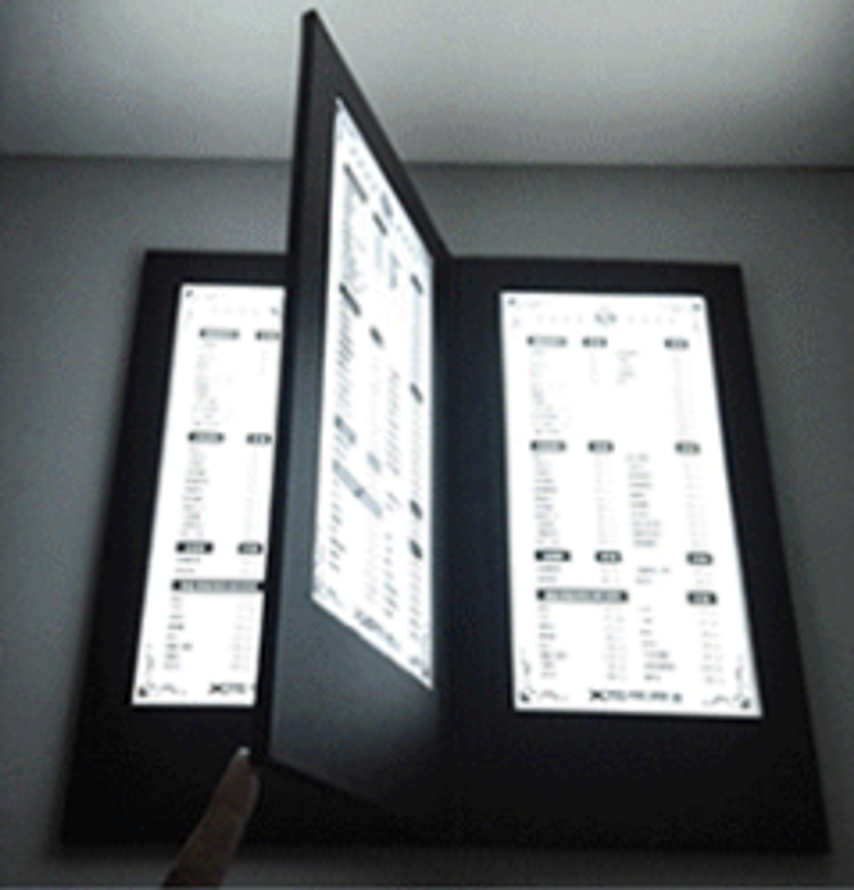 LED LIGHT UP MENUS - 4 PANELS