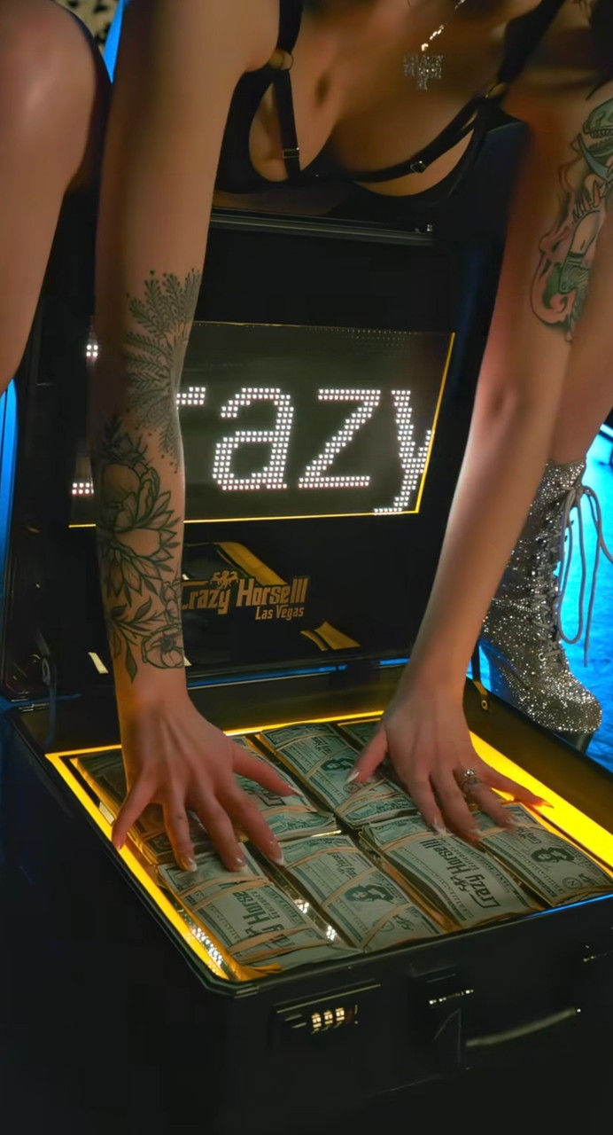 CUSTOM MOENY BRIEFCASE - LED SCREEN BRIEFCASE