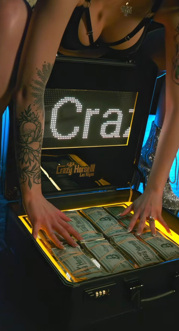 BOTTLE SERVICE BRIEFCASE - WITH LED SCREEN