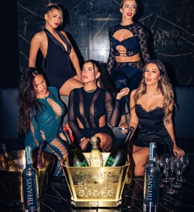 BOTTLE SERVICE ICE BUCKETS