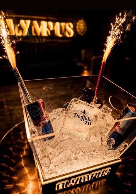 BOTTLE SERVICE ICE BUCKETS