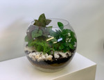 Terrarium