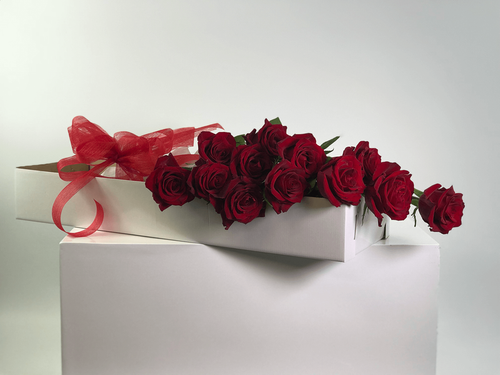 12 Long Stem Roses