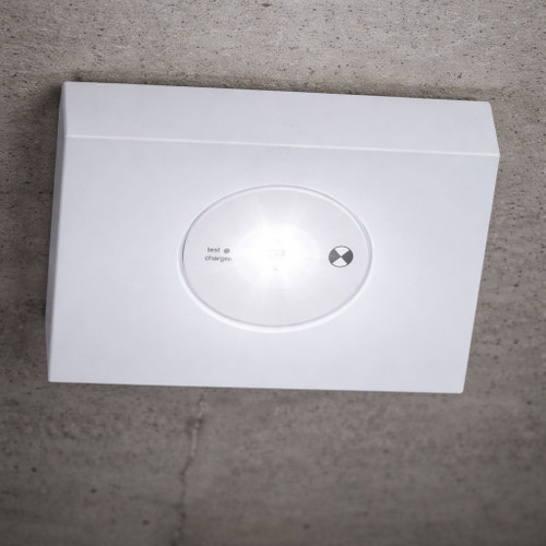 2W Emergency Light Industrial Strength D40 LED IP20 2 Hours Non Maintained White