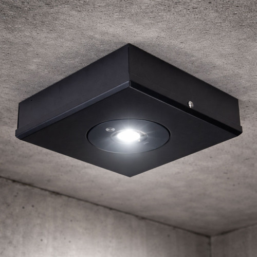 Emergency Light Black Square 3.5W Surface Mounted Non-Maintained Commercial Grade D63