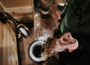 Where To Set Up A Wheelhouse For Great Fishing Where To Set Up A Wheelhouse For Great Fishing