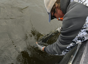 Catch Cover Safety Cover  LePier Shoreline & Outdoors